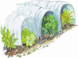 Agricoltura e Florovivaismo